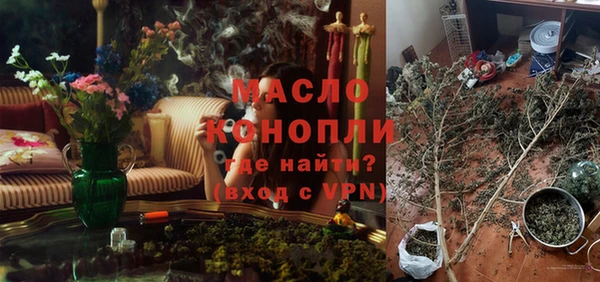 гашик Тында