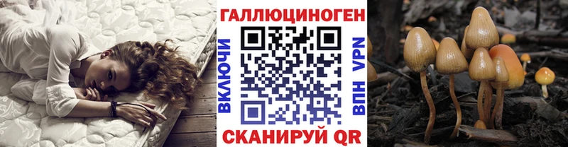 Галлюциногенные грибы Magic Shrooms  Камень-на-Оби 